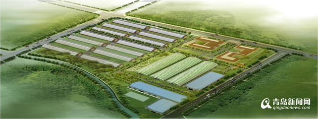 13個現代農業項目落戶西海岸，總投資52億元